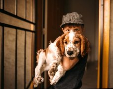 宠物学习资源整合